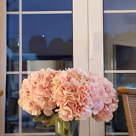 Zara'shomemeteora-the House Of The Rising Sun! *