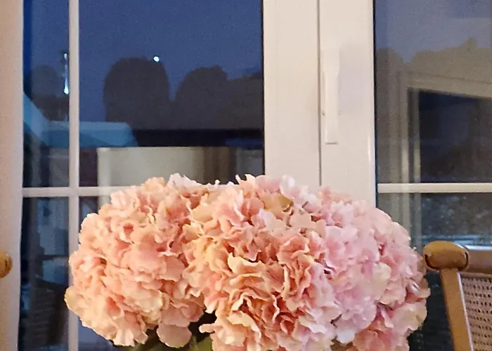 Zara'shomemeteora-the House Of The Rising Sun! *